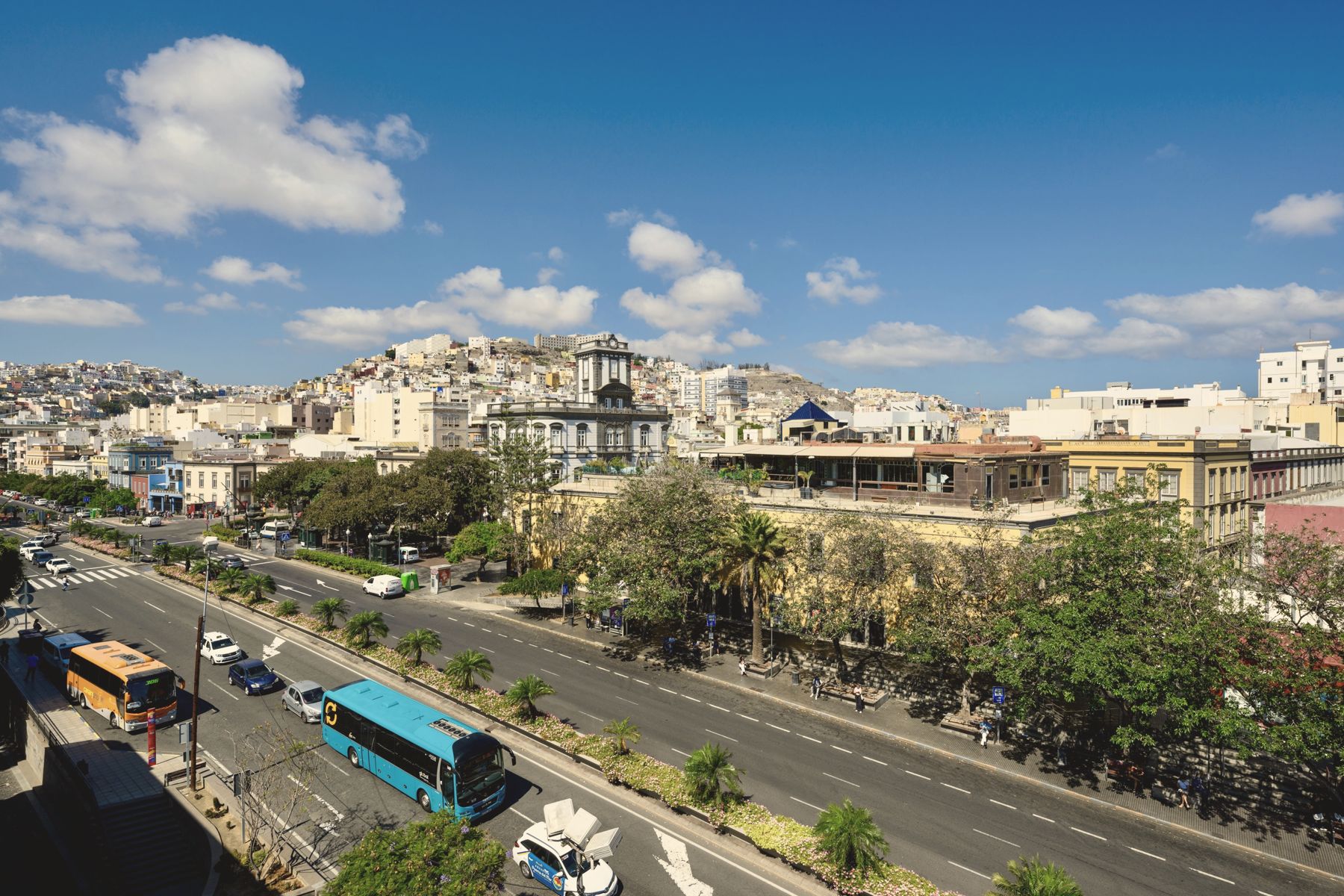 Vista desde el edificio sobre la avenida arbolada de Vegueta